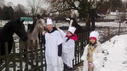 Tříkrálový koncert a  sbírka 2020 